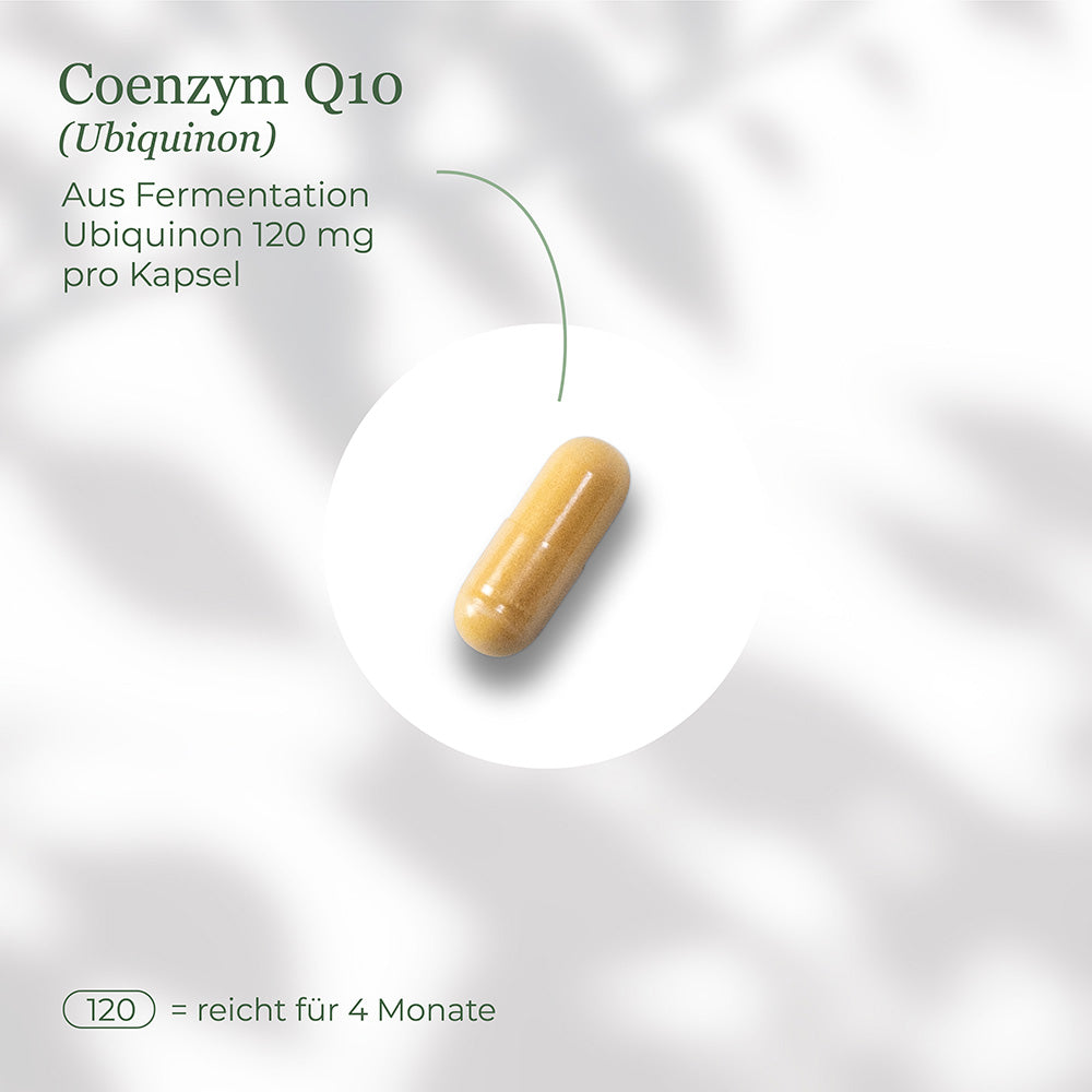 Coenzym Q10