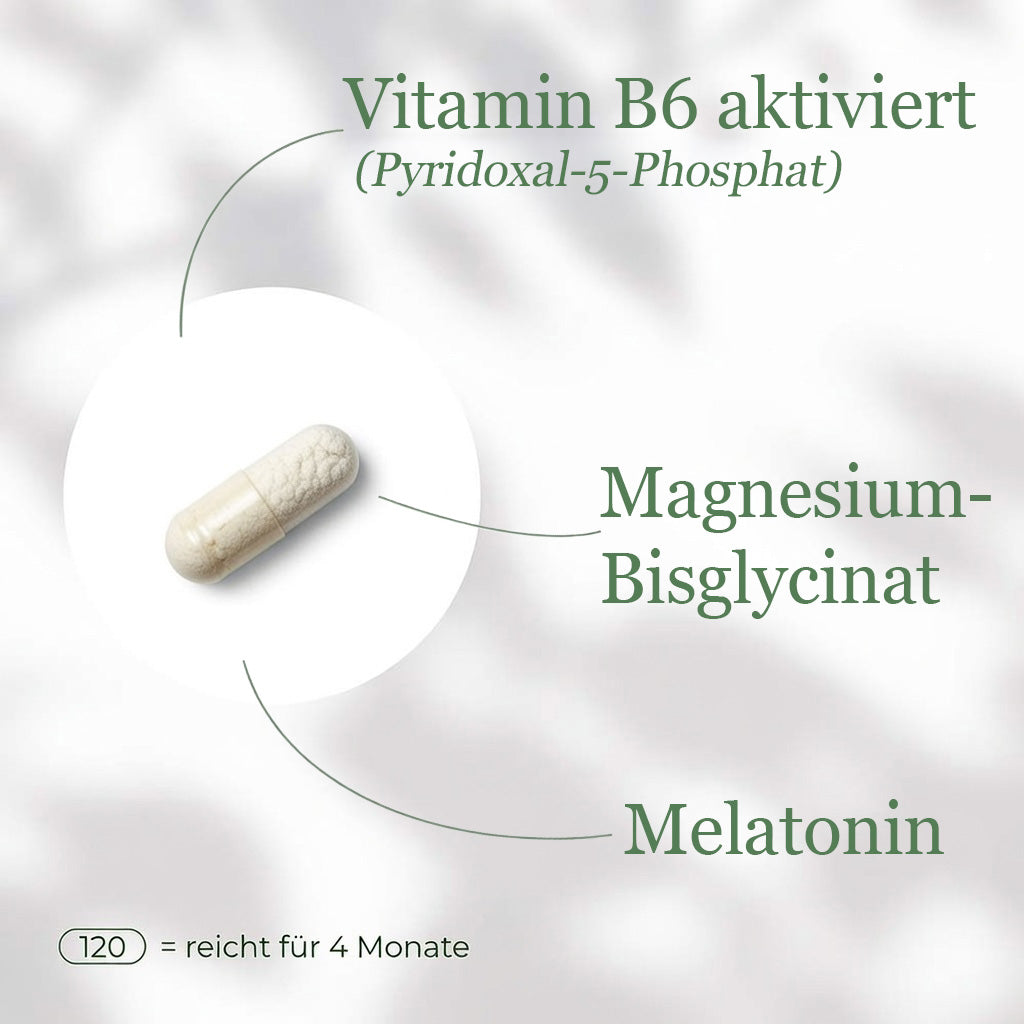 Magnesium + B6 + Melatonin