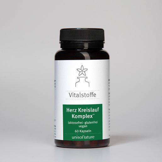 Herz Kreislauf Komplex