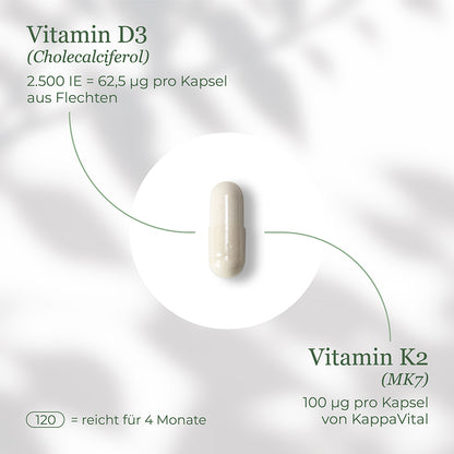 Vitamin D3 + K2