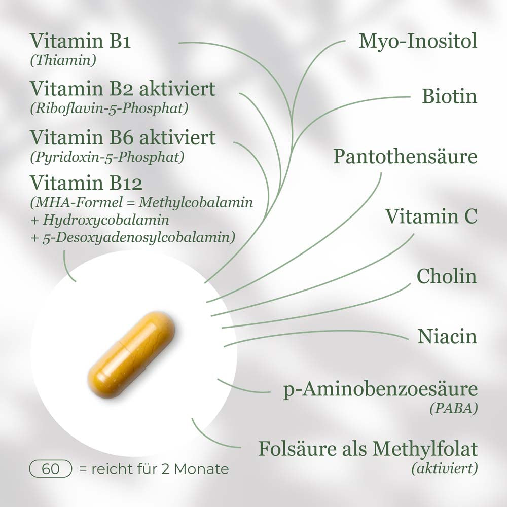 Vitamin B Komplex aktiviert