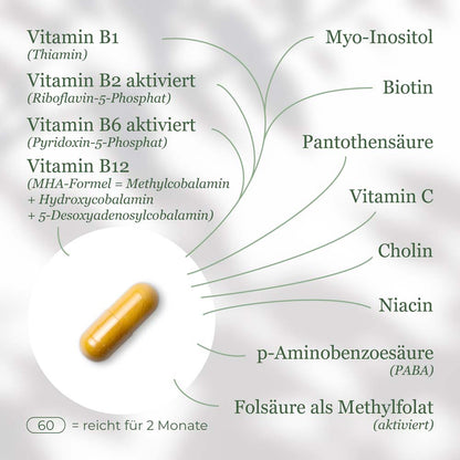 Vitamin B Komplex aktiviert
