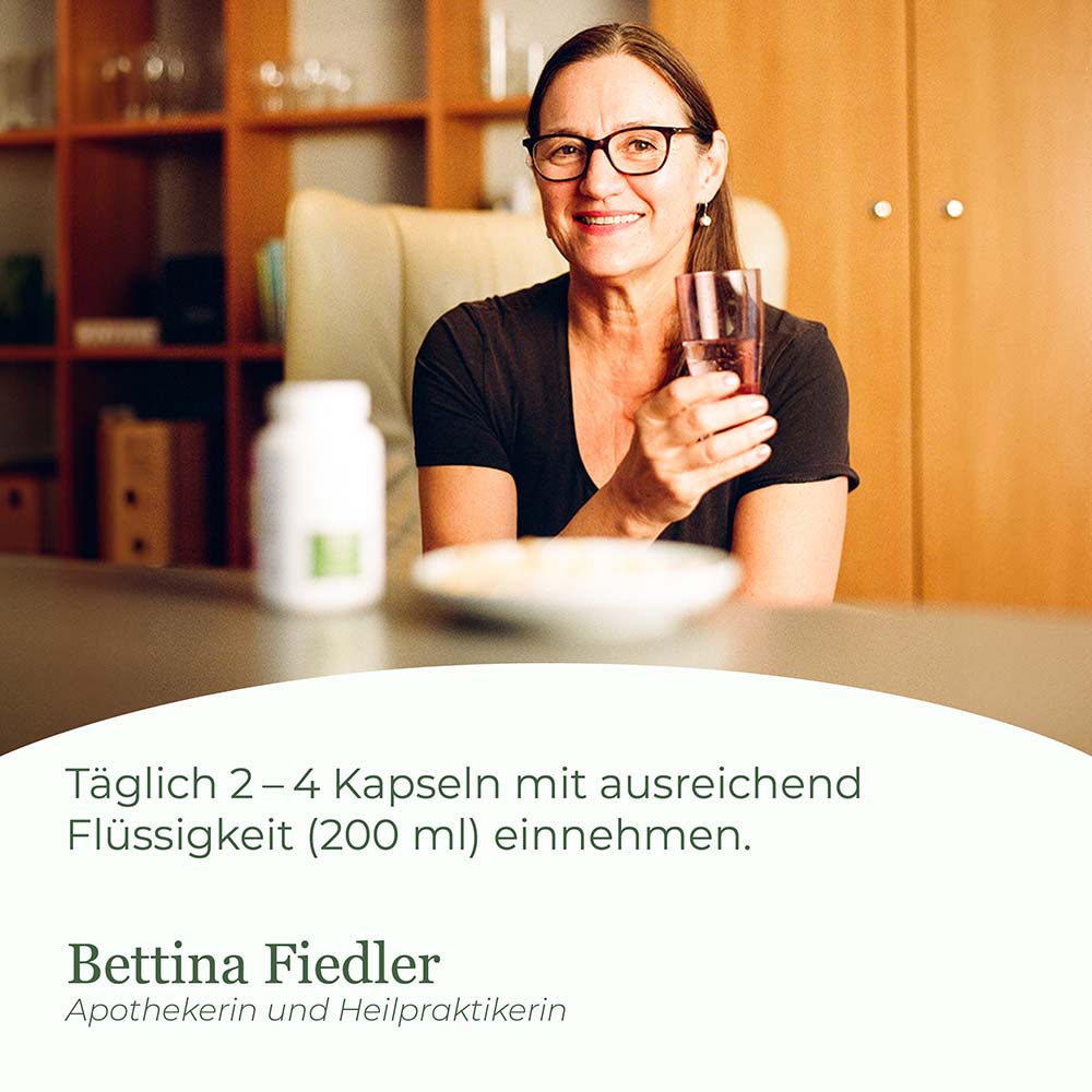 Herz Kreislauf Komplex