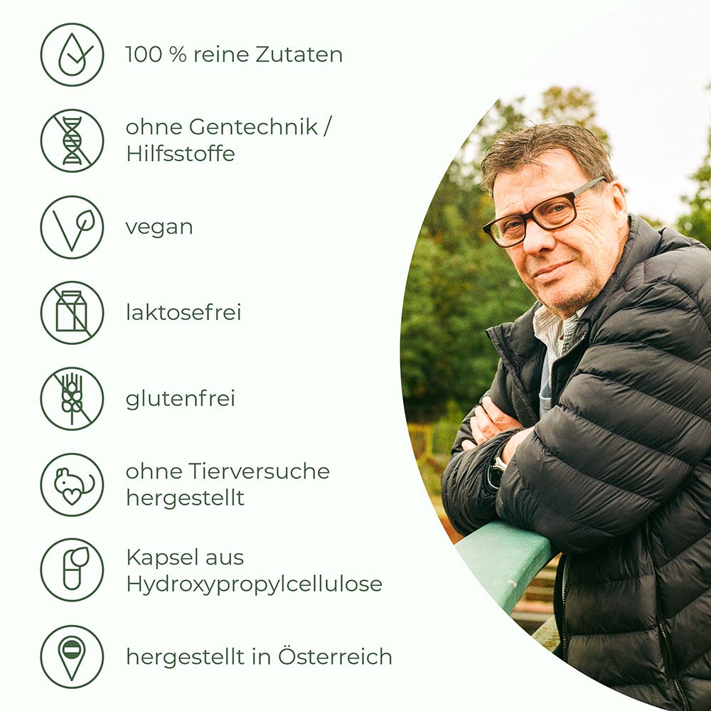 Herz Kreislauf Komplex