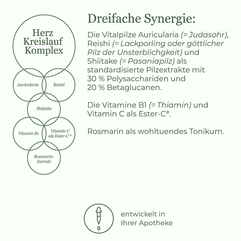 Herz Kreislauf Komplex