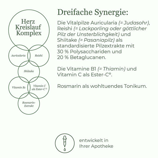 Herz Kreislauf Komplex