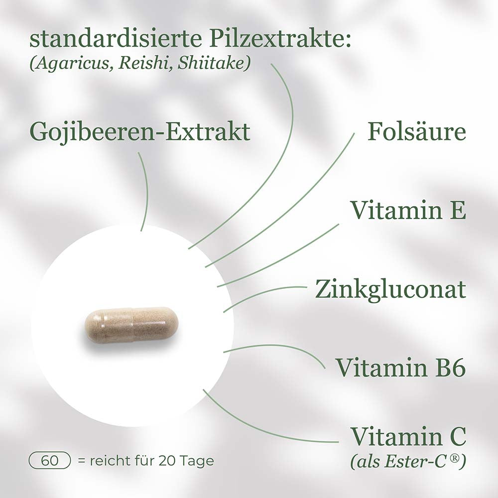 Immun Booster ² - Bundle Angebot