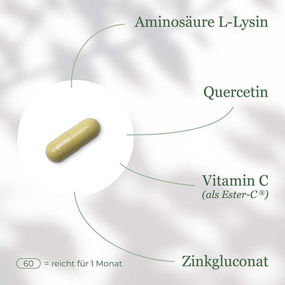 L-Lysin Komplex