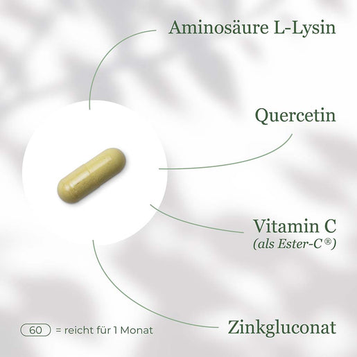 L-Lysin Komplex